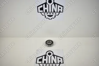 Подшипник КПП Первичного Вала Задний Chery Amulet