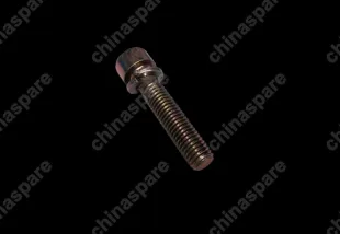 A118111205 Bolt - inner hexagon Chery Amulet