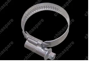 cq67645 Clamp - worm Chery Bonus