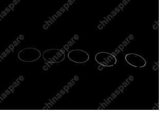Кольца поршневые (ком-т 2,4) Chery Cross Eastar