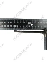 Клапан Впускной Zotye T600 1.5