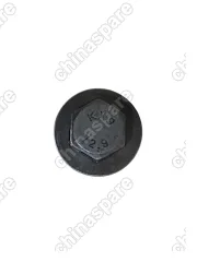 F4J201003080OR Болт ГБЦ  F4J20 Exeed VX RX TXL 8pro MAX