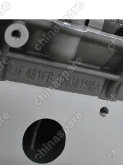 481FBJ1003001AA Головка блока цилиндров в сборе 481 Chery M11, Fora, Tiggo 1,8/2,0