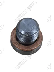 2399003 Пробка с шайбой для муфты HALDEX M10x1.0 VAG, Volvo, Geely