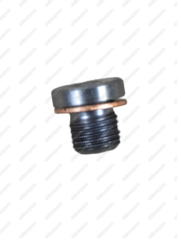 2399003 Пробка с шайбой для муфты HALDEX M10x1.0 VAG, Volvo, Geely
