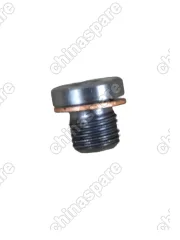 2399003 Пробка с шайбой для муфты HALDEX M10x1.0 VAG, Volvo, Geely