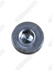 2399003 Пробка с шайбой для муфты HALDEX M10x1.0 VAG, Volvo, Geely