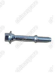 A211200032 Болт крепления резонатора Chery Fora