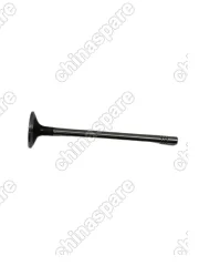 1030525900 Клапан выпускной Geely Coolray Atlas Pro 1030525900 1030021700
