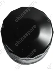 B111012010CM Фильтр масляный Dongfeng Forthing T5 EVO Evolute i-SPACE