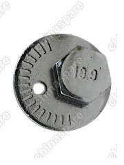 A212919213KIT1 Болт развальный задний Chery Fora (с шайбой и гайкой)