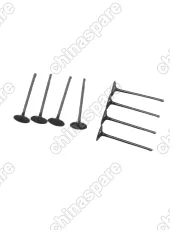 K0070900KIT Клапан впускной Changan UNI-K (комплект)
