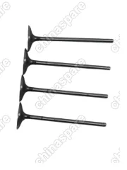 K0070900KIT Клапан впускной Changan UNI-K (комплект)
