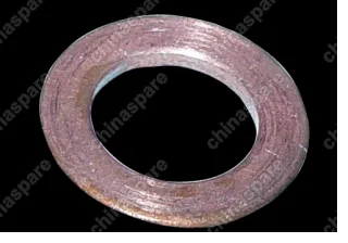 S113506212 Washer Chery Cross Eastar