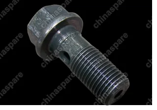 S113506013 Болт Chery Cross Eastar