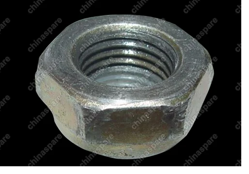 B113404207 Гайка рулевого колеса 24мм Chery Cross Eastar