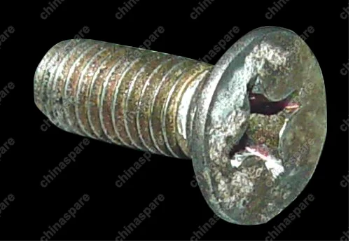 q2540616 Винт Chery Cross Eastar