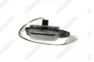 B113717010 Плафон освещения номерного знака Chery Cross Eastar