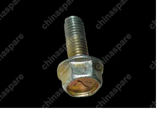 Болт с шайбой Chery Eastar