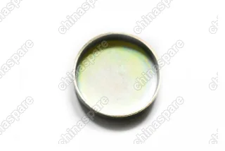 Заглушка блока цилиндров Chery Eastar, Tiggo