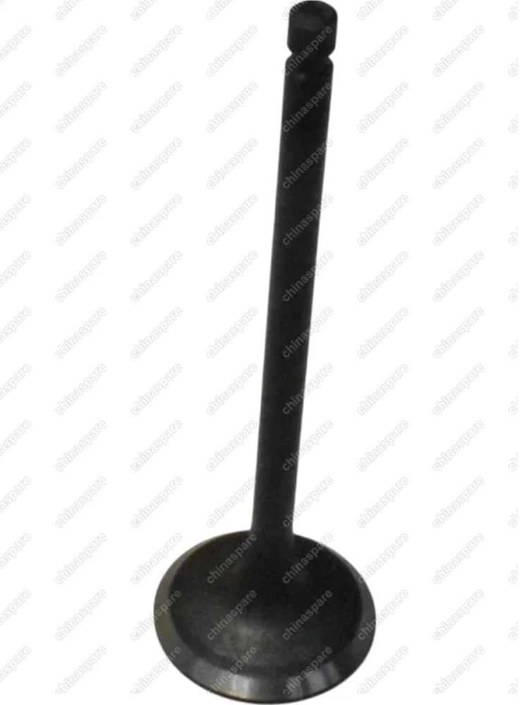 Клапан впускной Chery Cross Eastar, Eastar, Tiggo 2,4