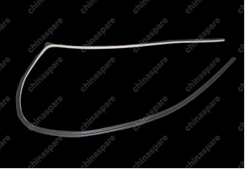 B115402121AB Strip-rr door frame lh Chery Eastar