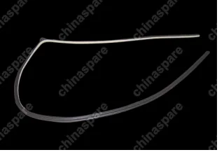B115402121AB Strip-rr door frame lh Chery Eastar