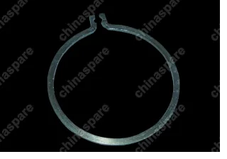 Кольцо стопорное Chery Eastar