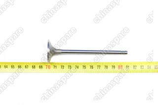 Клапан впускной Chery Fora