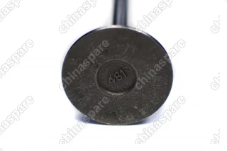 Клапан впускной Chery Fora