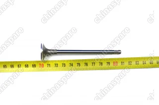 Клапан выпускной Chery Fora