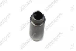 Направляющая клапана Chery Fora