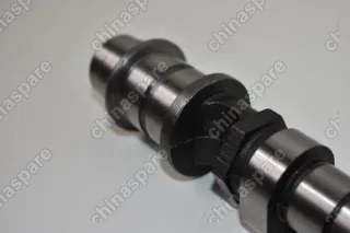 Распредвал выпускной Chery Fora