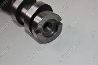 Распредвал выпускной Chery Fora