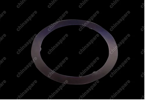 481H1005071 Friction disc - friction Chery Fora