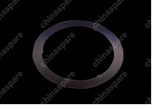 481H1005071 Friction disc - friction Chery Fora