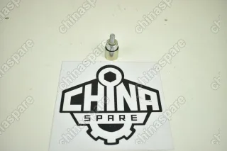 Ролик ГРМ паразитный Chery Cross Eastar, Eastar, Fora, M11, M12, Tiggo