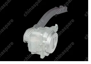 A218CB6105310 Личинка Chery Fora