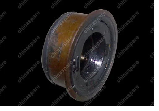 QR519MHA1702402 Oil seal Chery Fora
