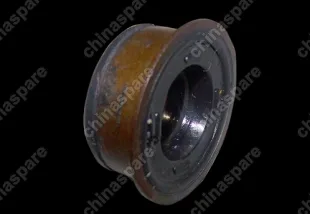 QR519MHA1702402 Oil seal Chery Fora