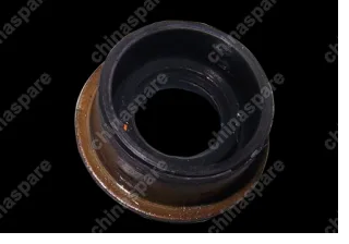 QR519MHA1702402 Oil seal Chery Fora