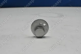 Болт развальный задний (эксцентрик) Chery Fora