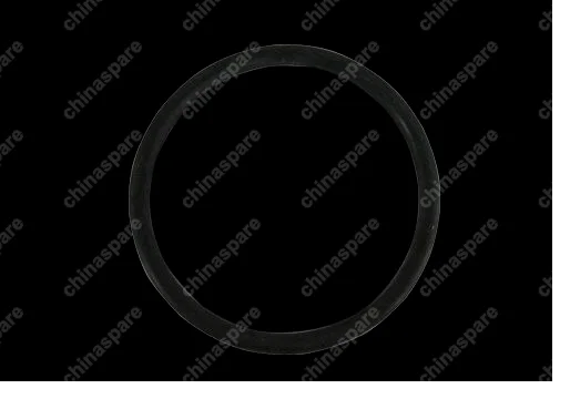 Уплотнительное кольцо Chery Fora