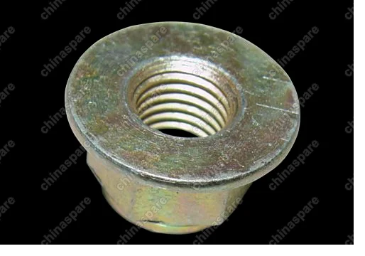 Q338C10 Nut Chery Indis
