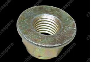 Q338C10 Nut Chery Indis