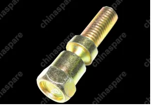T113704027 Болт Chery Indis