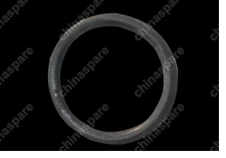 S225207155 Seal ring Chery Indis