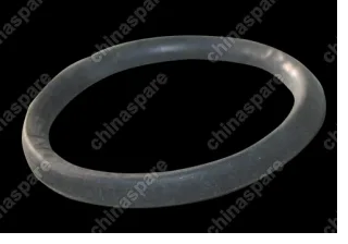 S225207155 Seal ring Chery Indis