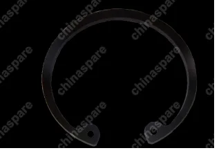q43068 Clip - wheel hub bearing Chery Kimo