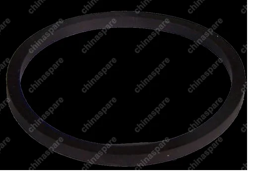 S123510031 Seal ring Chery Kimo